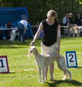 2017-05-21 Hässleholm utst_0028