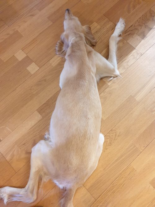 2019-05-21c day 58 2019-05-21c day 58