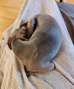 2020-07-16-liten 2020-07-16-liten